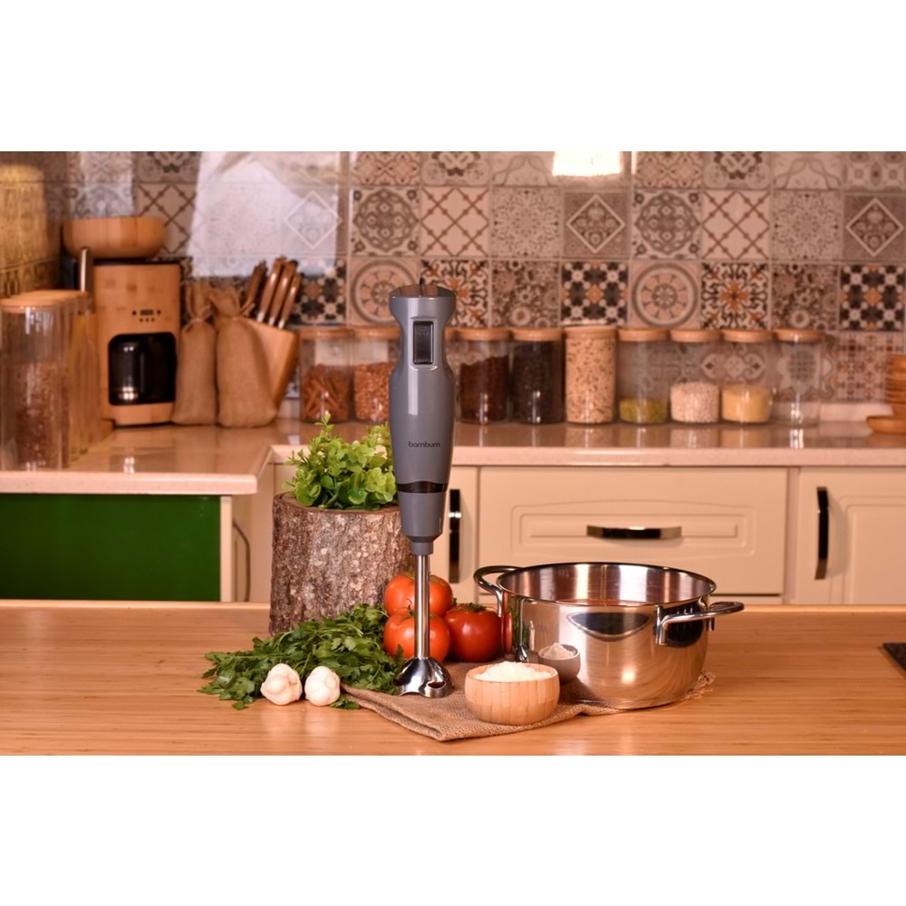 BAMBUM TECHNİC 900 WATT ÇUBUK BLENDIR GRİx12xB3243